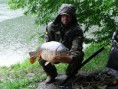 Zpráva od revival carp teamu